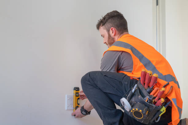 Best Licensed Electrician  in Meridian, CO